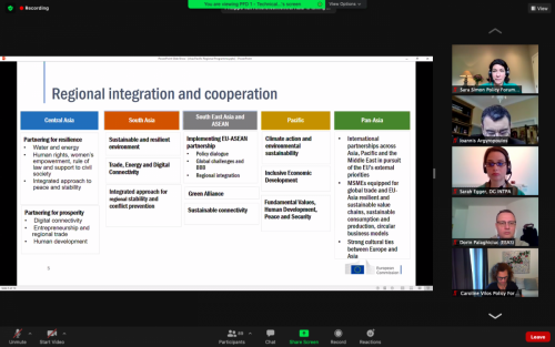 Consultation on the EU Regional Multi-annual Indicative Programme for ...